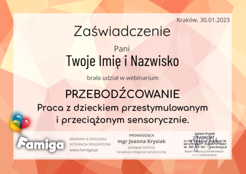 Webinar #127 - Przebodźcowanie